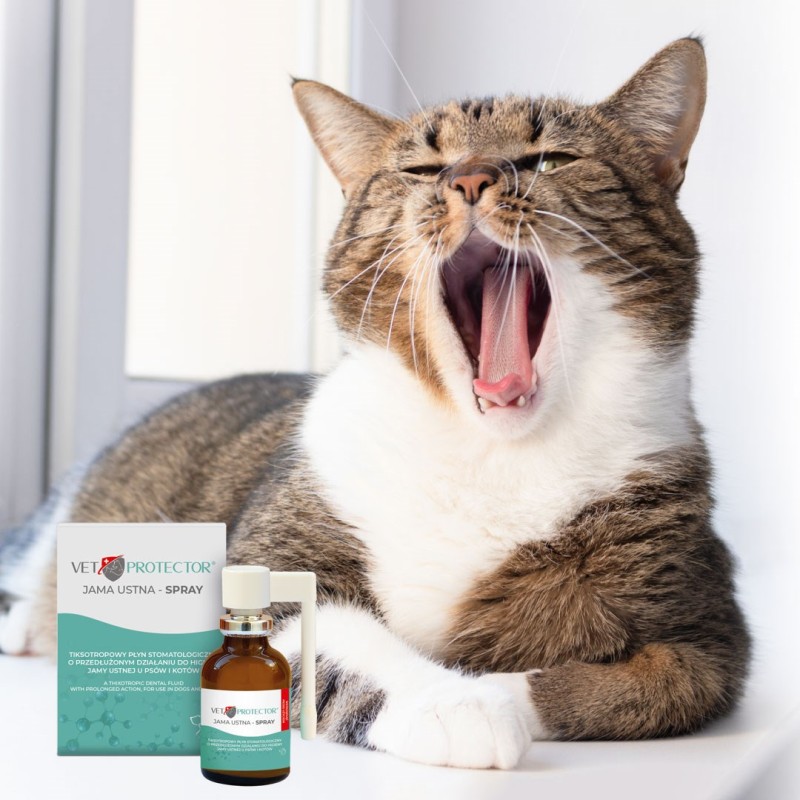JM SANTE VET PROTECTOR GASTRO - MAŚLAN 60 ml JM SANTE VET PROTECTOR GASTRO - MAŚLAN 60 ml