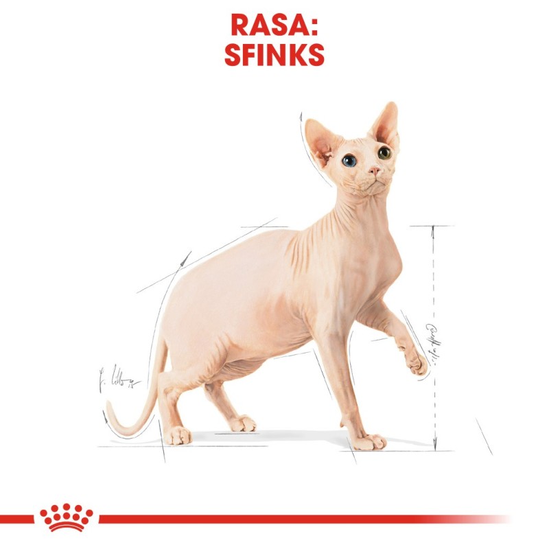 Royal Canin Sphynx dry cat food 2 kg Royal Canin Sphynx dry cat food 2 kg