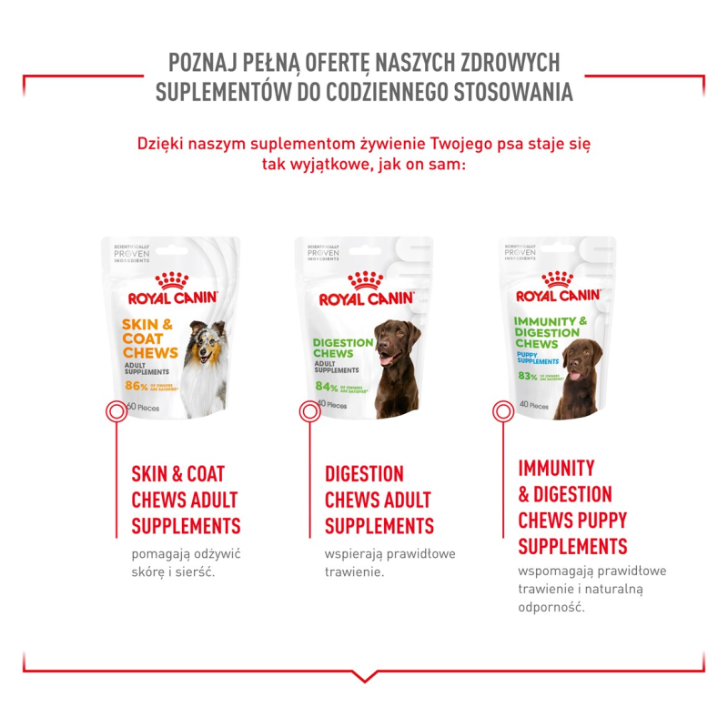 ROYAL CANIN Supplements Dog Joint & Ageing Adult - dog vitamins - 240g ROYAL CANIN Supplements Dog Joint & Ageing Adult - dog vitamins - 240g