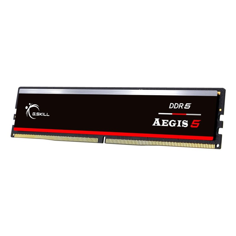 G.Skill Aegis F5-5600J3636C16GX1-IS memory module 16 GB 1 x 16 GB DDR5 5600 MHz G.Skill Aegis F5-5600J3636C16GX1-IS memory module 16 GB 1 x 16 GB DDR5 5600 MHz