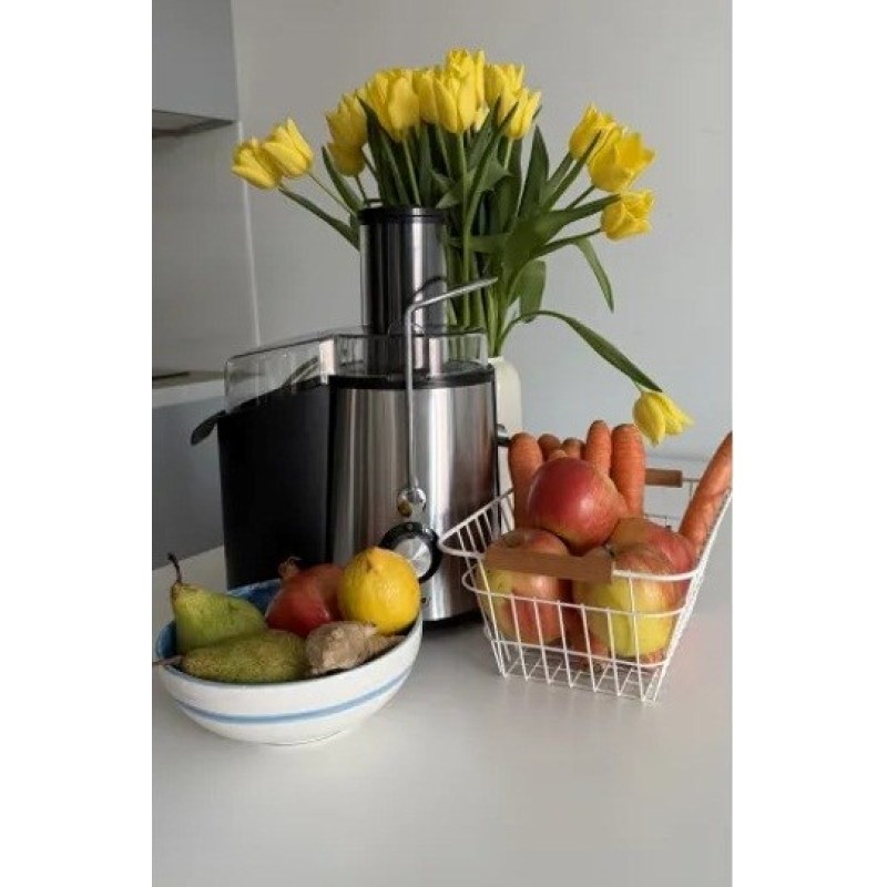 MPM MSO-18-M Juicer 1000 W Black, Silver