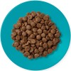 APPLAWS Adult Ocean fish with salmon - dry cat food - 1,8kg