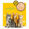 3COTY Chicken For kittens - wet cat food - 80g 3COTY Chicken For kittens - wet cat food - 80g