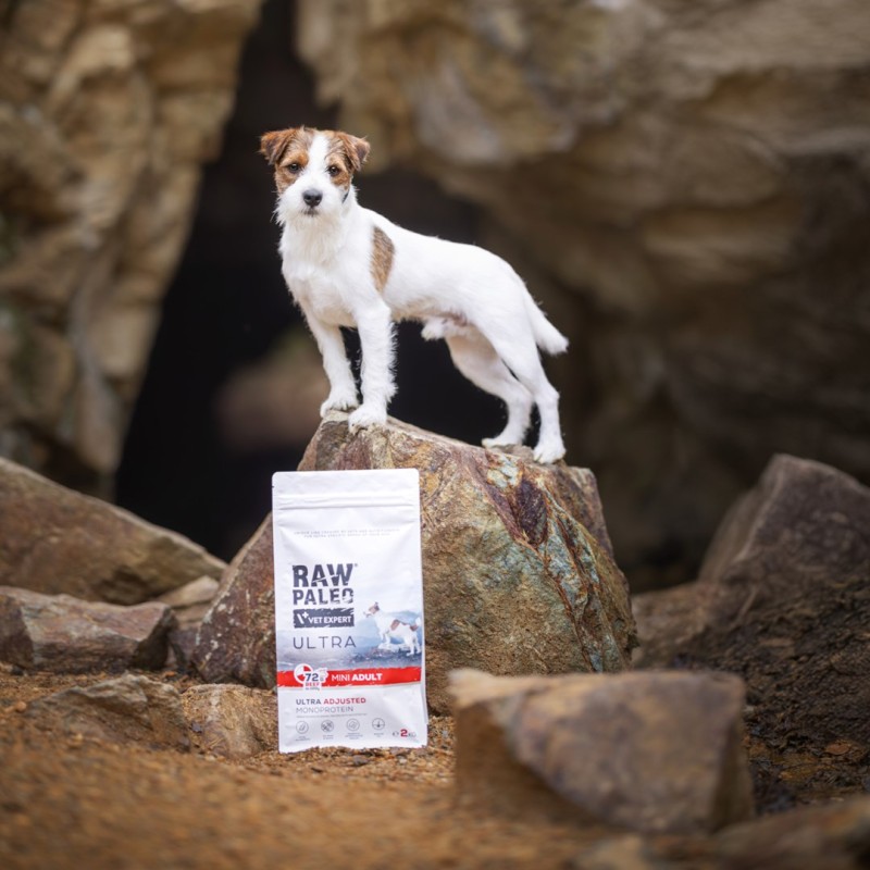 RAW PALEO Ultra Mini Adult Beef - dry dog food - 750 g RAW PALEO Ultra Mini Adult Beef - dry dog food - 750 g