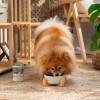 RAW PALEO Adult Monoprotein Turkey - wet dog food - 800 g RAW PALEO Adult Monoprotein Turkey - wet dog food - 800 g