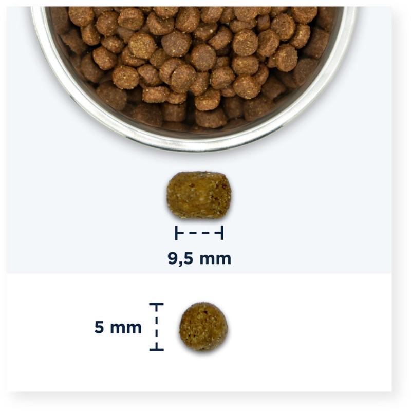 IAMS Advanced Nutrition Cat Adult Tuna - dry cat food - 10 kg IAMS Advanced Nutrition Cat Adult Tuna - dry cat food - 10 kg