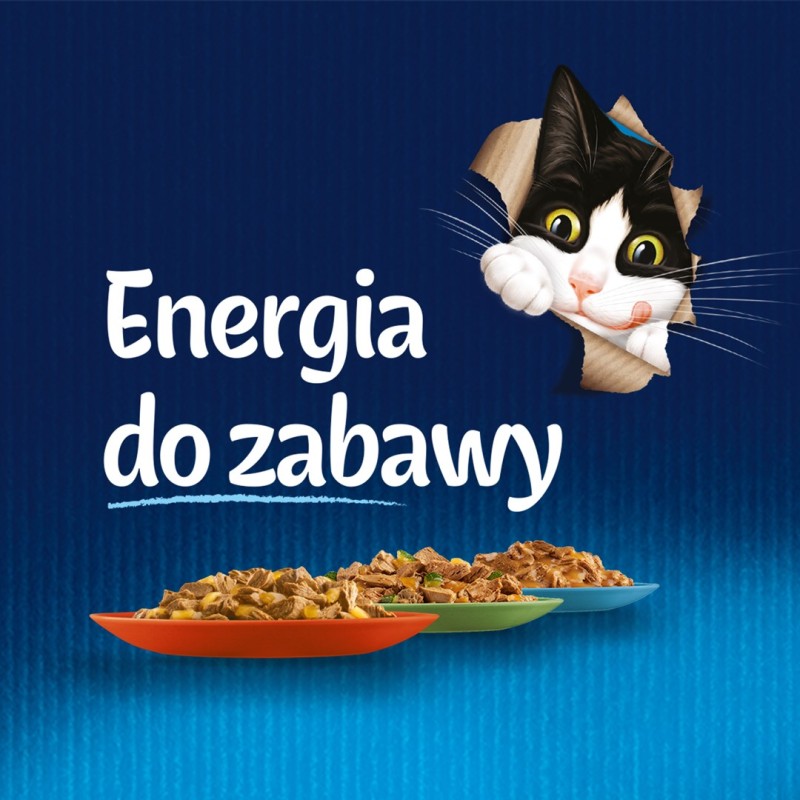 WHISKAS Saszetki aromatyczne mix smaków 40x85g WHISKAS Saszetki aromatyczne mix smaków 40x85g