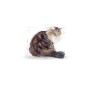 TASTE OF THE WILD Sierra Mountain - dry dog food - 12,2 kg