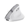 Trust Bayo II mouse Office Right-hand RF Wireless Optical 2400 DPI Trust Bayo II mouse Office Right-hand RF Wireless Optical 2400 DPI