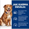 HILL'S Prescription Diet Derm Complete - dry dog food - 1,5kg HILL'S Prescription Diet Derm Complete - dry dog food - 1,5kg