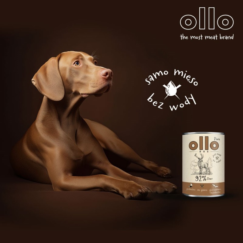 OLLO Pure Deer – wet dog food – 850 g