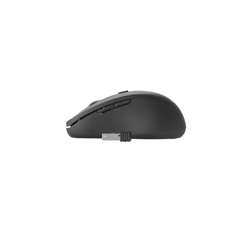 Gembird MUSW-6B-01 mouse Office Right-hand RF Wireless Optical 1600 DPI Gembird MUSW-6B-01 mouse Office Right-hand RF Wireless Optical 1600 DPI