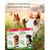 Bozita - Active & Sterilised Grain free Lamb 2 kg Bozita - Active & Sterilised Grain free Lamb 2 kg