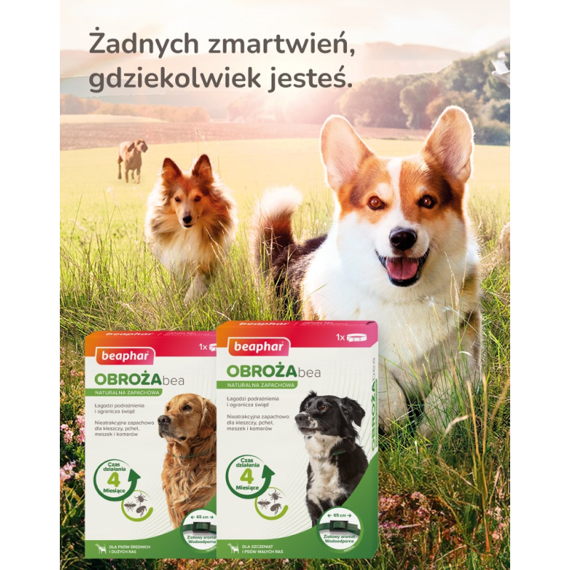 Bozita - Active & Sterilised Grain free Lamb 2 kg Bozita - Active & Sterilised Grain free Lamb 2 kg