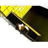C&C Modular cage 3x2 + Loft 2x1+ black Ramp C&C Modular cage 3x2 + Loft 2x1+ black Ramp