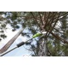40V Greenworks G40PSF pole saw - 1401107 40V Greenworks G40PSF pole saw - 1401107