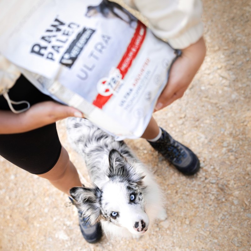 RAW PALEO Ultra Medium&Large Puppy Beef - dry food for puppies - 10 kg RAW PALEO Ultra Medium&Large Puppy Beef - dry food for puppies - 10 kg
