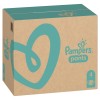 STUZZY Monoprotein Turkey - wet cat food - 85 g STUZZY Monoprotein Turkey - wet cat food - 85 g