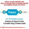 TRIXIE Eyewash for cats and dogs - 50 ml TRIXIE Eyewash for cats and dogs - 50 ml