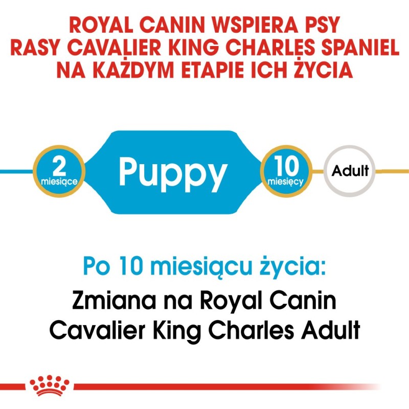 TRIXIE Eyewash for cats and dogs - 50 ml TRIXIE Eyewash for cats and dogs - 50 ml