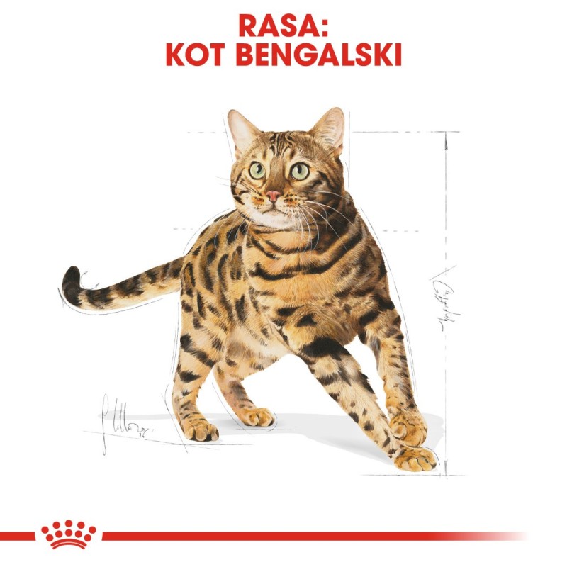 Royal Canin Bengal Adult cats dry food 2 kg Poultry, Vegetable Royal Canin Bengal Adult cats dry food 2 kg Poultry, Vegetable