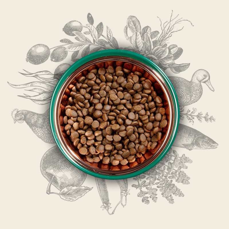 EDEN Original Cousine - dry cat food - 10 kg EDEN Original Cousine - dry cat food - 10 kg