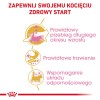 ROYAL CANIN Maine Coon Kitten - dry cat food - 2 kg ROYAL CANIN Maine Coon Kitten - dry cat food - 2 kg