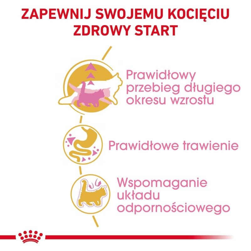 ROYAL CANIN Maine Coon Kitten - dry cat food - 2 kg ROYAL CANIN Maine Coon Kitten - dry cat food - 2 kg