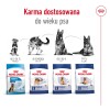 ROYAL CANIN Maxi Adult 5+ - dry dog food - 15 kg ROYAL CANIN Maxi Adult 5+ - dry dog food - 15 kg