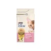 Purina Cat Chow Kitten cats dry food Chicken 1.5 kg