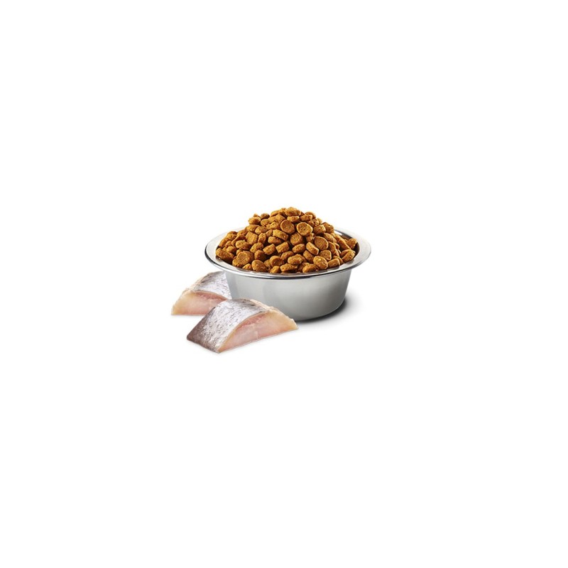 FARMINA N&D Spirulina Herring - dry cat food - 1.5 kg FARMINA N&D Spirulina Herring - dry cat food - 1.5 kg