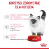Royal Canin FHN Kitten Instinctive in jelly - wet food for kittens - 12x85g Royal Canin FHN Kitten Instinctive in jelly - wet food for kittens - 12x85g