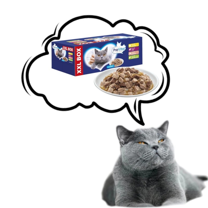 PREVITAL XXL BOX Flavor Mix with Chicken, Veal, Salmon, and Liver in Gravy - Wet Cat Food - 48 x 100g