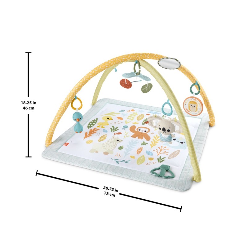 Fisher-Price Simply Senses Newborn Gym Baby Activity Mat with 6 Sensory Toys Fisher-Price Simply Senses Newborn Gym Baby Activity Mat with 6 Sensory Toys