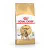 ROYAL CANIN FBN Bengal Adult - dry cat food - 10kg