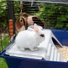 FERPLAST Rabbit 120 - Cage FERPLAST Rabbit 120 - Cage
