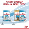 Royal Canin Mini Starter Mother & Babydog Adult Poultry 1 kg Royal Canin Mini Starter Mother & Babydog Adult Poultry 1 kg