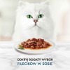 PURINA Gourmet Perle Mix - wet cat food - 60x85 g PURINA Gourmet Perle Mix - wet cat food - 60x85 g