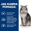 HILL'S Prescription Diet Liver Care - dry cat food - 1,5kg HILL'S Prescription Diet Liver Care - dry cat food - 1,5kg
