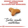 Royal Canin Bengal Adult cats dry food 2 kg Poultry, Vegetable Royal Canin Bengal Adult cats dry food 2 kg Poultry, Vegetable