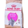 ROYAL CANIN British Shorthair Kitten - dry cat food - 400g