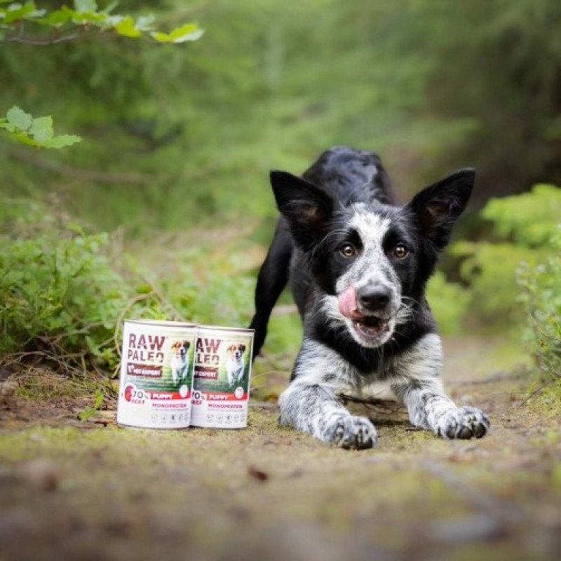 RAW PALEO Puppy Monoprotein Beef - wet food for puppies - 400 g RAW PALEO Puppy Monoprotein Beef - wet food for puppies - 400 g