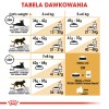 ROYAL CANIN Ragdoll FBN Adult - dry cat food - 400g ROYAL CANIN Ragdoll FBN Adult - dry cat food - 400g