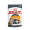 ROYAL CANIN Intense Beauty Wet cat food Chunks in sauce 12x85 g