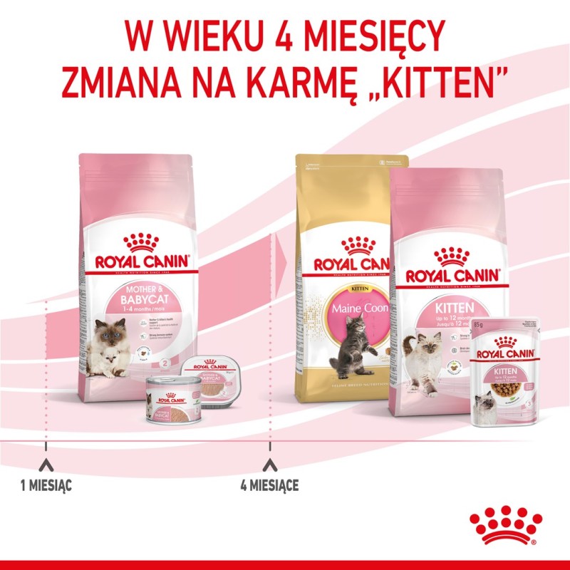 Royal Canin Mother & Babycat cats dry food 2 kg Royal Canin Mother & Babycat cats dry food 2 kg