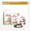 ROYAL CANIN VHN Dog Urinary Treats 230g