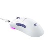 Havit MS966WB wireless mouse Havit MS966WB wireless mouse