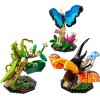 LEGO IDEAS 21342 The Insect Collection LEGO IDEAS 21342 The Insect Collection