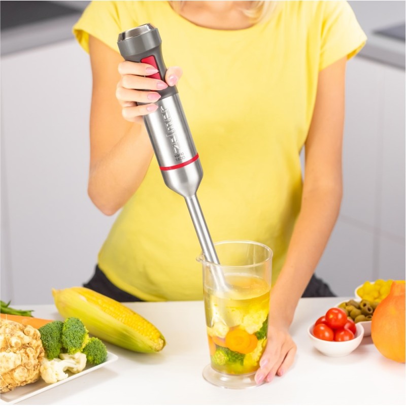 Zelmer ZHB4652 VARIO 0.5 L Immersion blender 1400 W Grey, Silver Zelmer ZHB4652 VARIO 0.5 L Immersion blender 1400 W Grey, Silver
