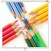 Avtek Wall Standard 200 projection screen 1:1